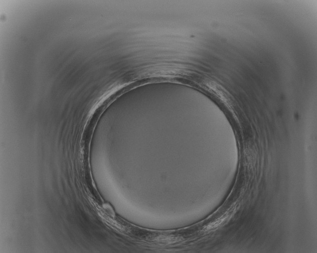 X0000066520779200603311753