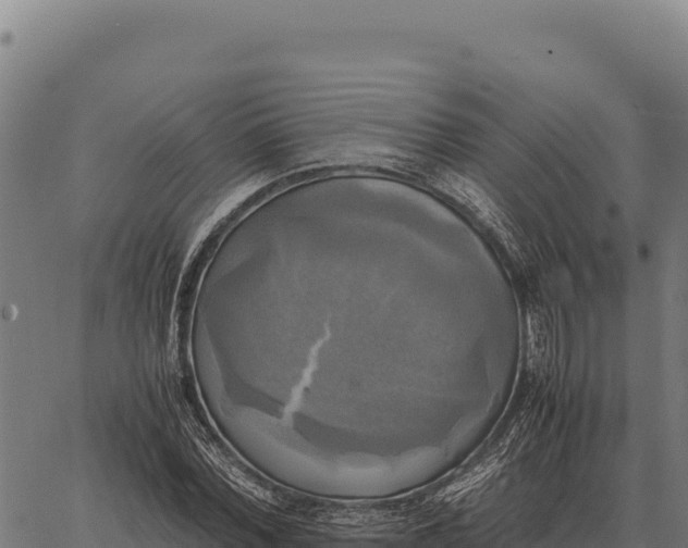 X0000066520780200603311753