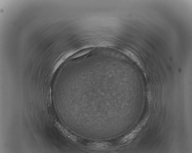 X0000066520781200603311753