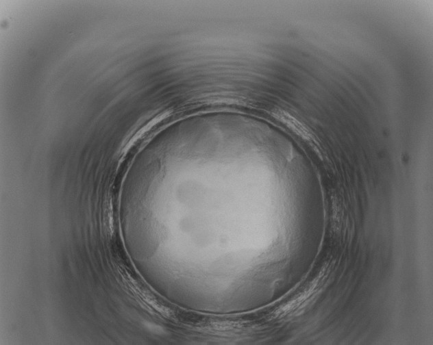 X0000066520782200603311753