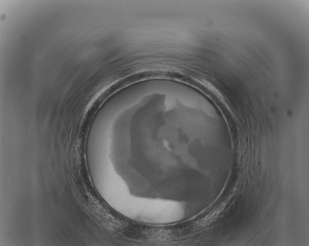 X0000066520783200603311753