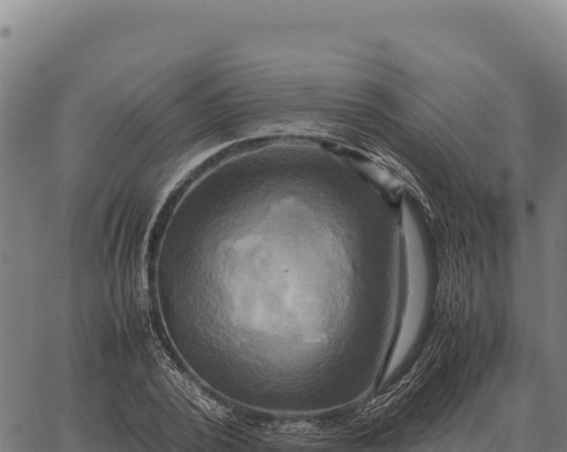 X0000066520784200603311753