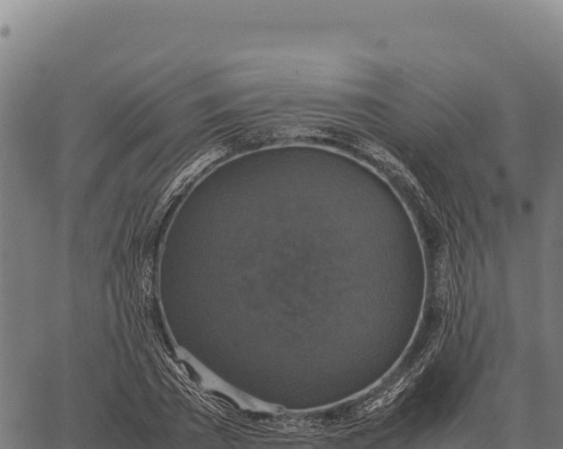 X0000066520785200603311753