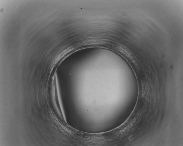 X0000066520786200603311753