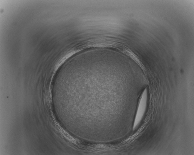 X0000066520787200603311753