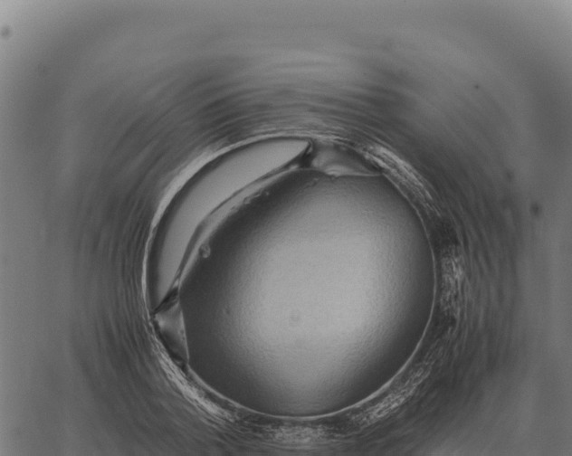 X0000066520788200603311753