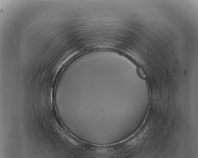 X0000066520790200603311753