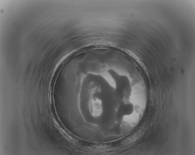 X0000066520791200603311753