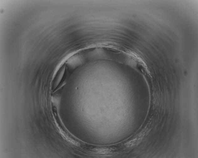 X0000066520792200603311753