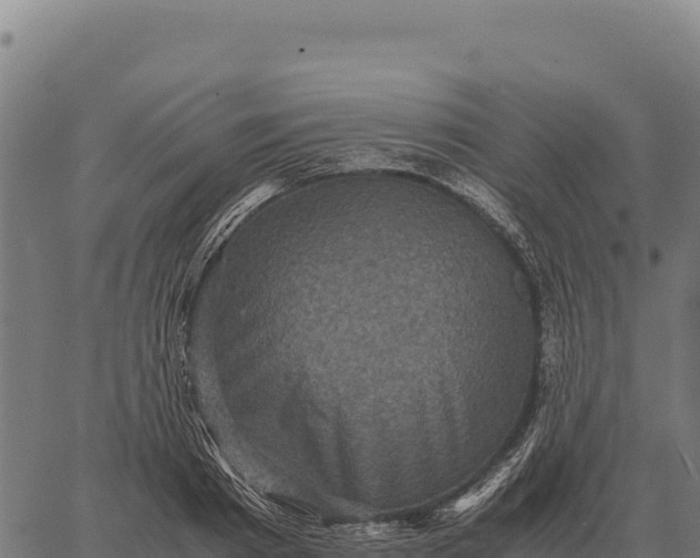 X0000066520793200603311753