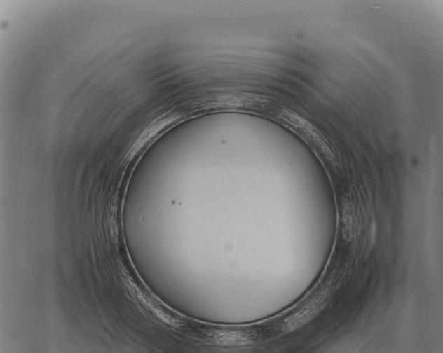 X0000066520794200603311753