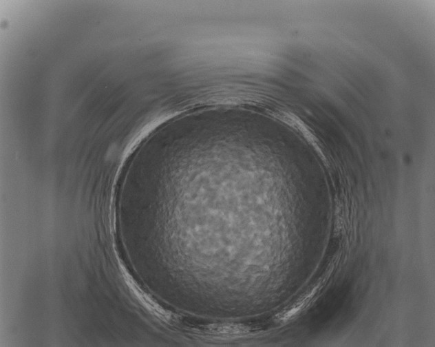 X0000066520795200603311753