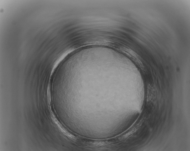 X0000066520796200603311753