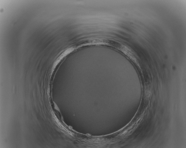 X0000066520797200603311753