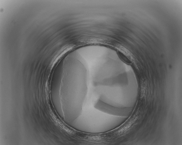 X0000066520798200603311753