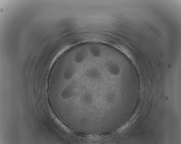 X0000066520799200603311753