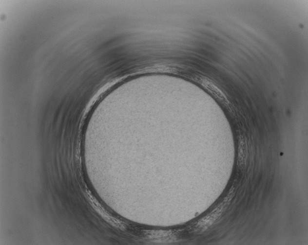 X0000066520800200603311753