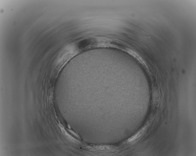 X0000066520801200603311753