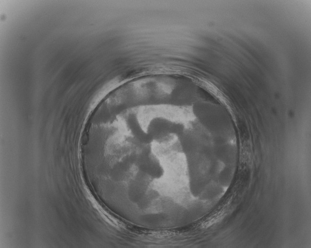 X0000066520803200603311753