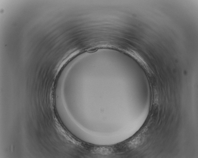 X0000066520806200603311753