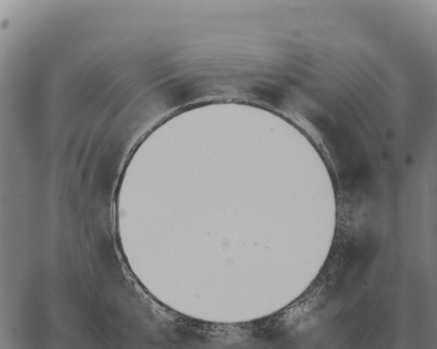 X0000066520807200603311753