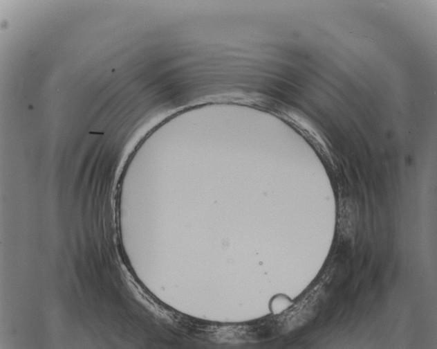 X0000066520808200603311753