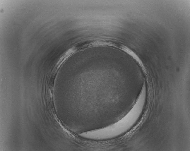 X0000066520809200603311753