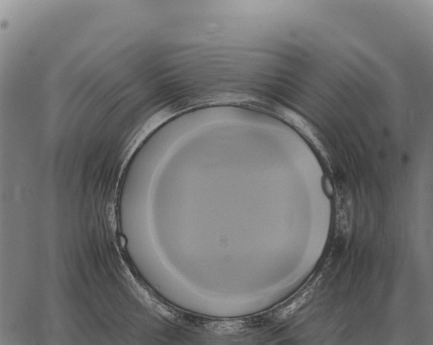 X0000066520810200603311753