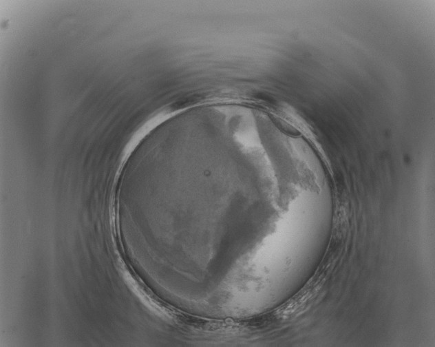 X0000066520811200603311753