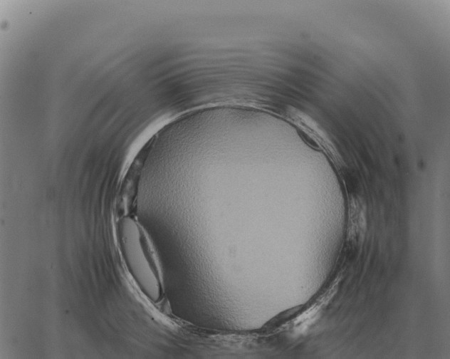 X0000066520812200603311753