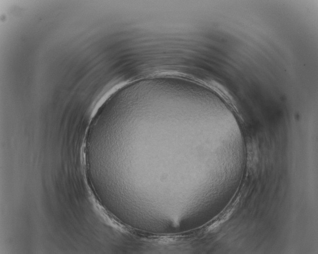 X0000066520814200603311753