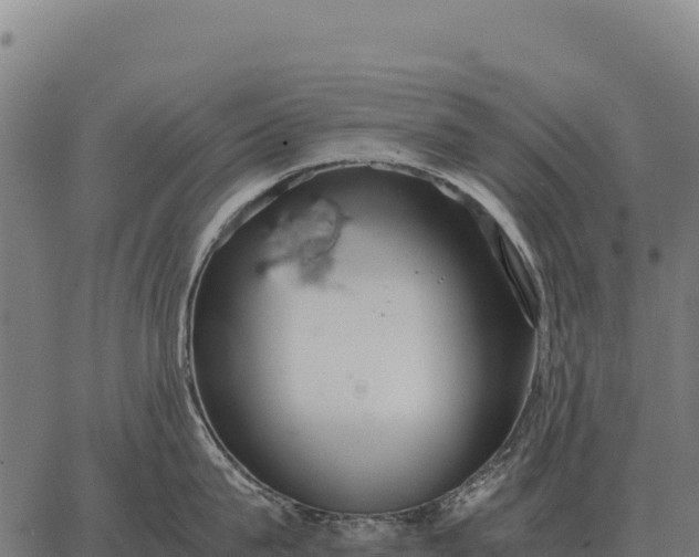 X0000066520815200603311753