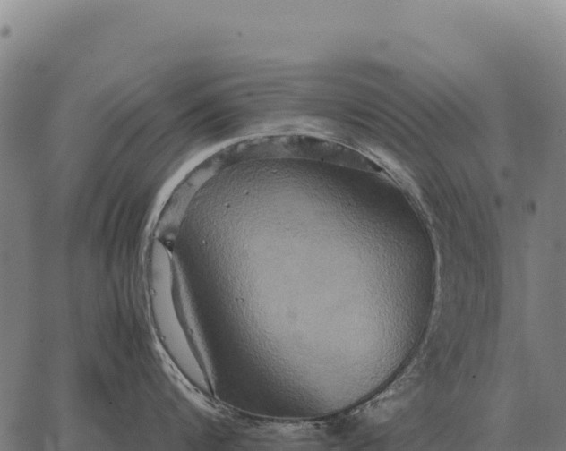 X0000066520816200603311753