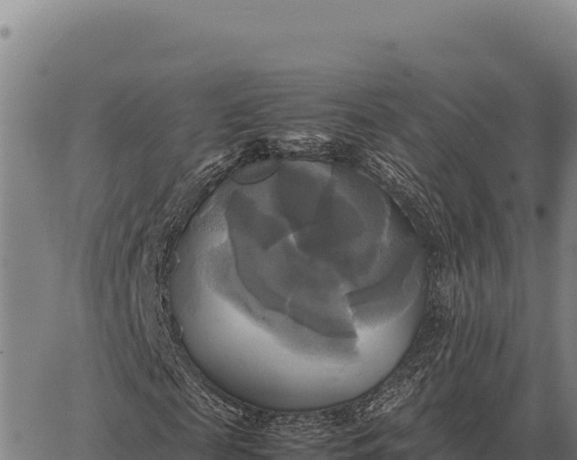 X0000066520817200603311752