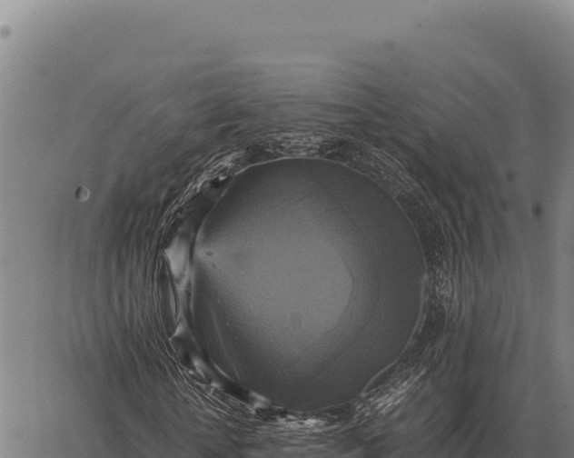 X0000066520818200603311752