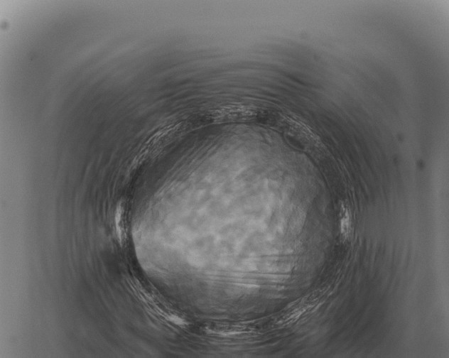 X0000066520819200603311752