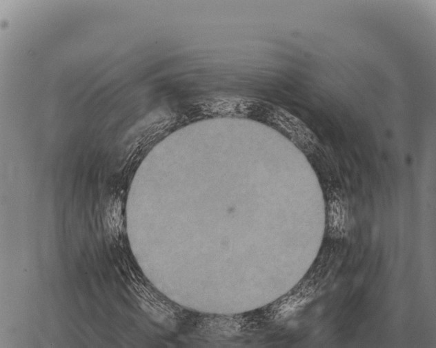 X0000066520820200603311752