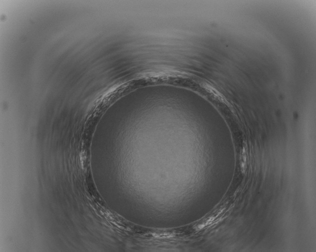 X0000066520822200603311752