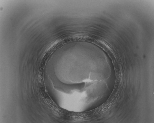 X0000066520823200603311752