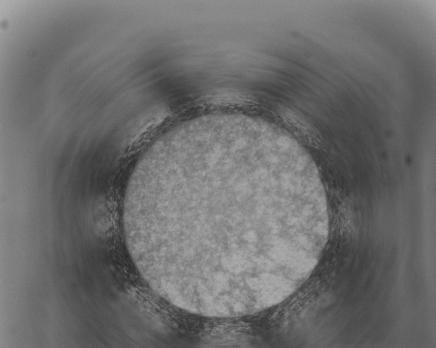 X0000066520824200603311752