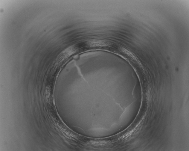 X0000066520825200603311752