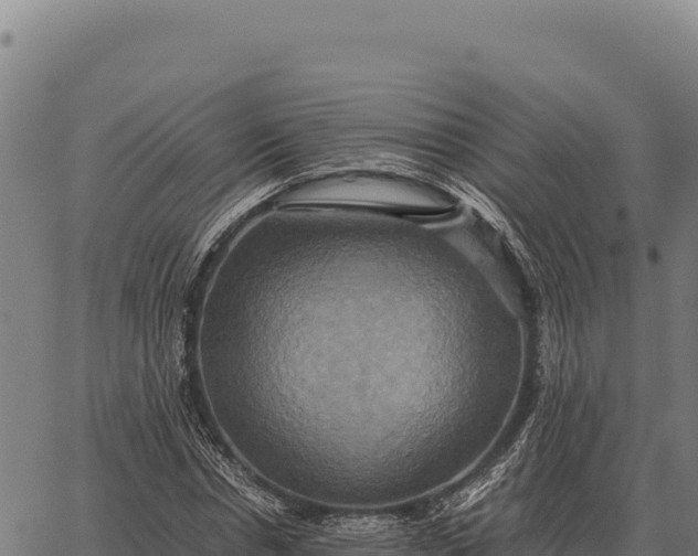 X0000066520826200603311752