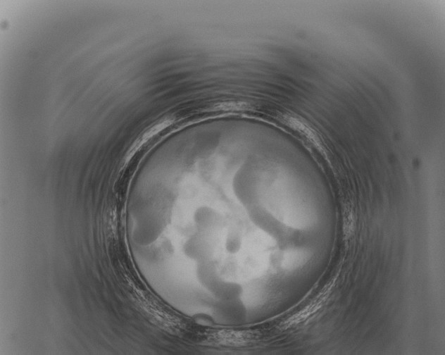 X0000066520827200603311752