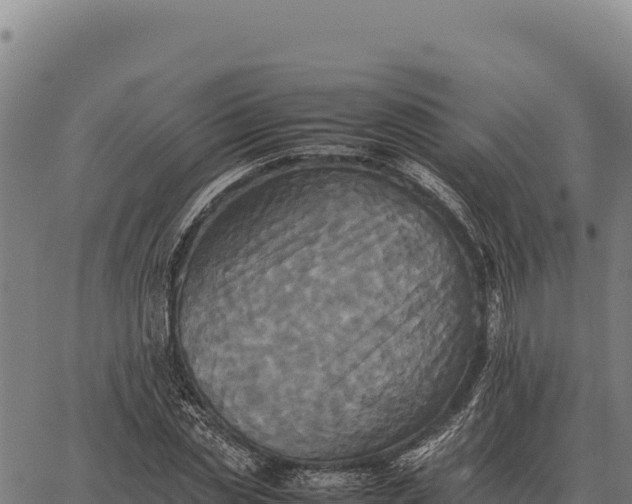 X0000066520829200603311752