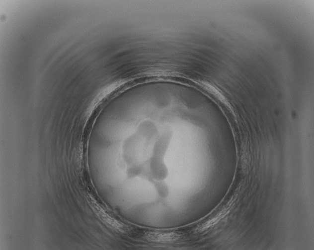 X0000066520831200603311752