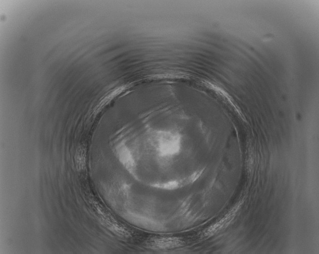 X0000066520833200603311752