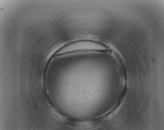 X0000066520834200603311752