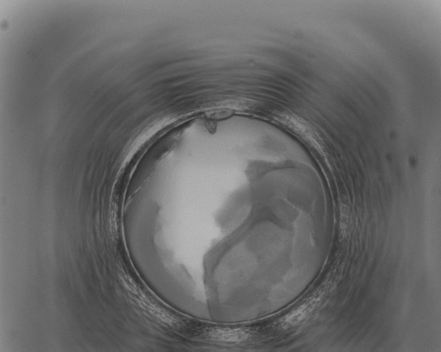 X0000066520835200603311752