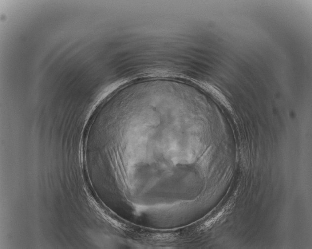 X0000066520839200603311752