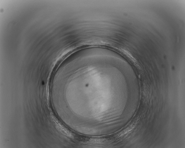 X0000066520840200603311752